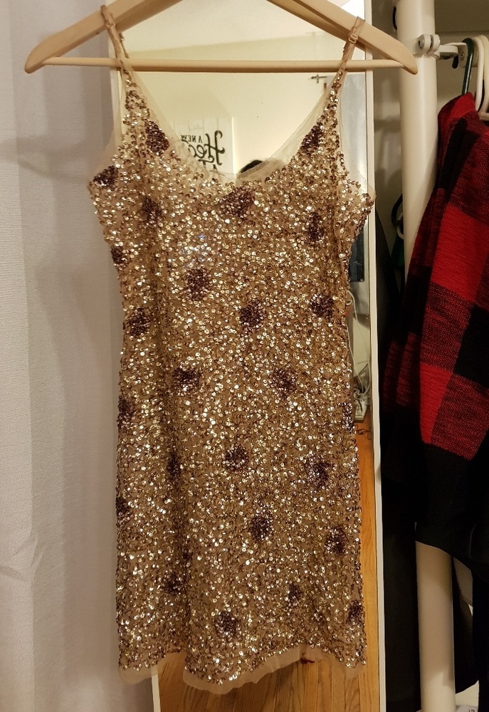 Arden B Sequin Dress